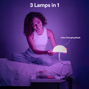 Dorm Bundle (FanShelfie NOT Included)