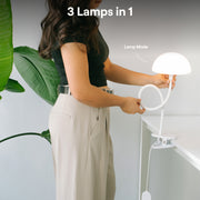 Dorm Bundle (FanShelfie NOT Included)
