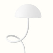 #color_white